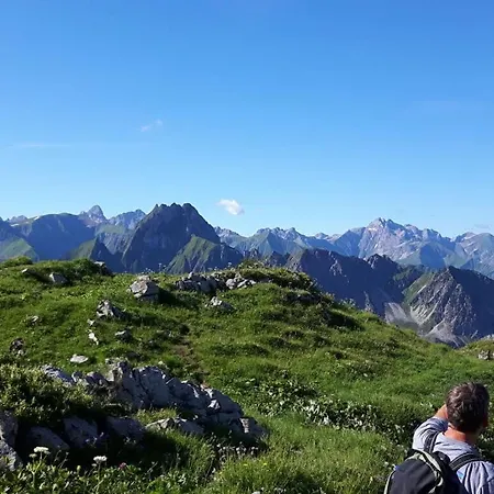 Allgauer Wiesenblick
