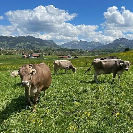 Allgauer Wiesenblick 아파트 *